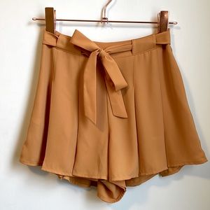 ARITZIA shorts